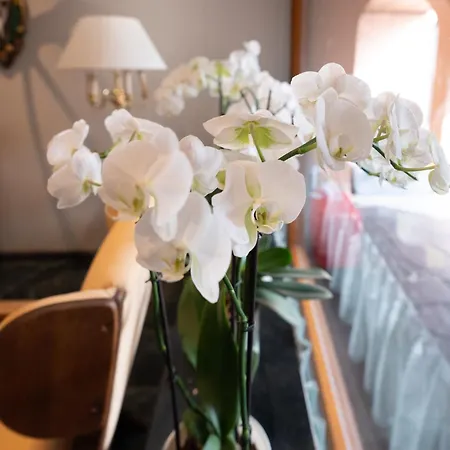 Haus Arenberg 酒店