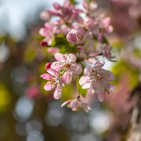Garni Haus Arenberg 4* Salzburg