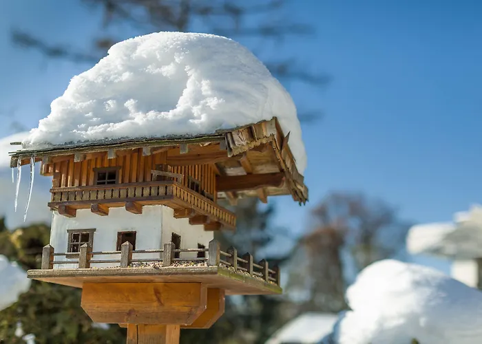 Haus Arenberg Salzburg