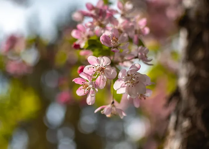 Haus Arenberg 4* Salzburg