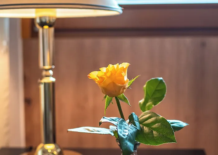 Hotel Haus Arenberg Salzburg